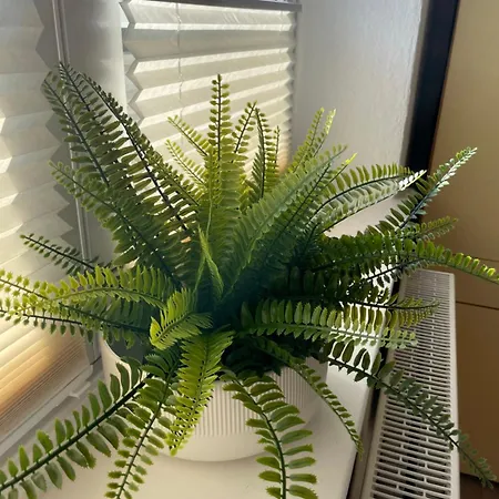 Apartamento Wh-immobilien:citynah Mit Balkon